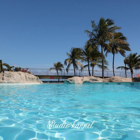 סן-פרנסואה Charmant Studio Kannel Au Manganao Vue Sur Mer Et Panier D'Accueil Offert מראה חיצוני תמונה